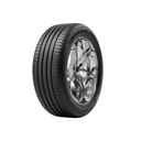 205/55R16 91V MAXXIS HP6