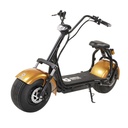 Kontio Motors Kruiser Premium Pack Gold 1,2kWh akulla