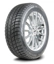 185/65R14 86T DELINTE WD52