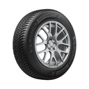 265/50R19 110H MICHELIN PILOT ALPIN 5 SUV XL * ZP RG