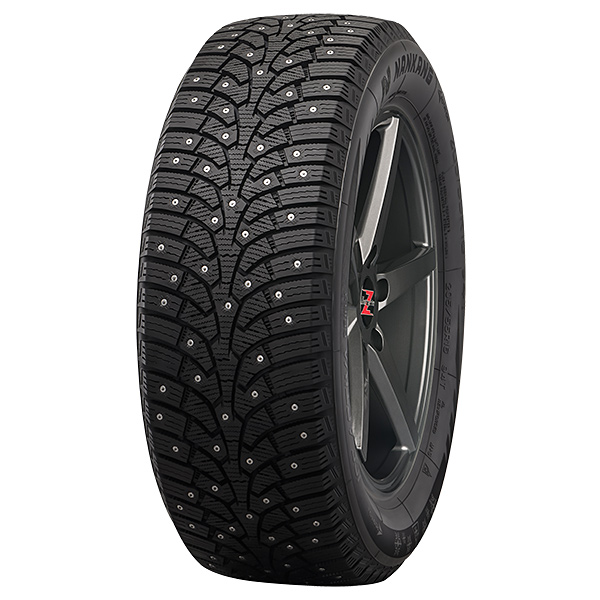 22550R18 99T NANKANG SW 9 XL Nastarenkaat 117989 1
