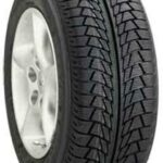 175/60R15 81H NANKANG SV-1 XL