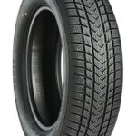 225/50R17 98V GRIPMAX PRO WINTER XL