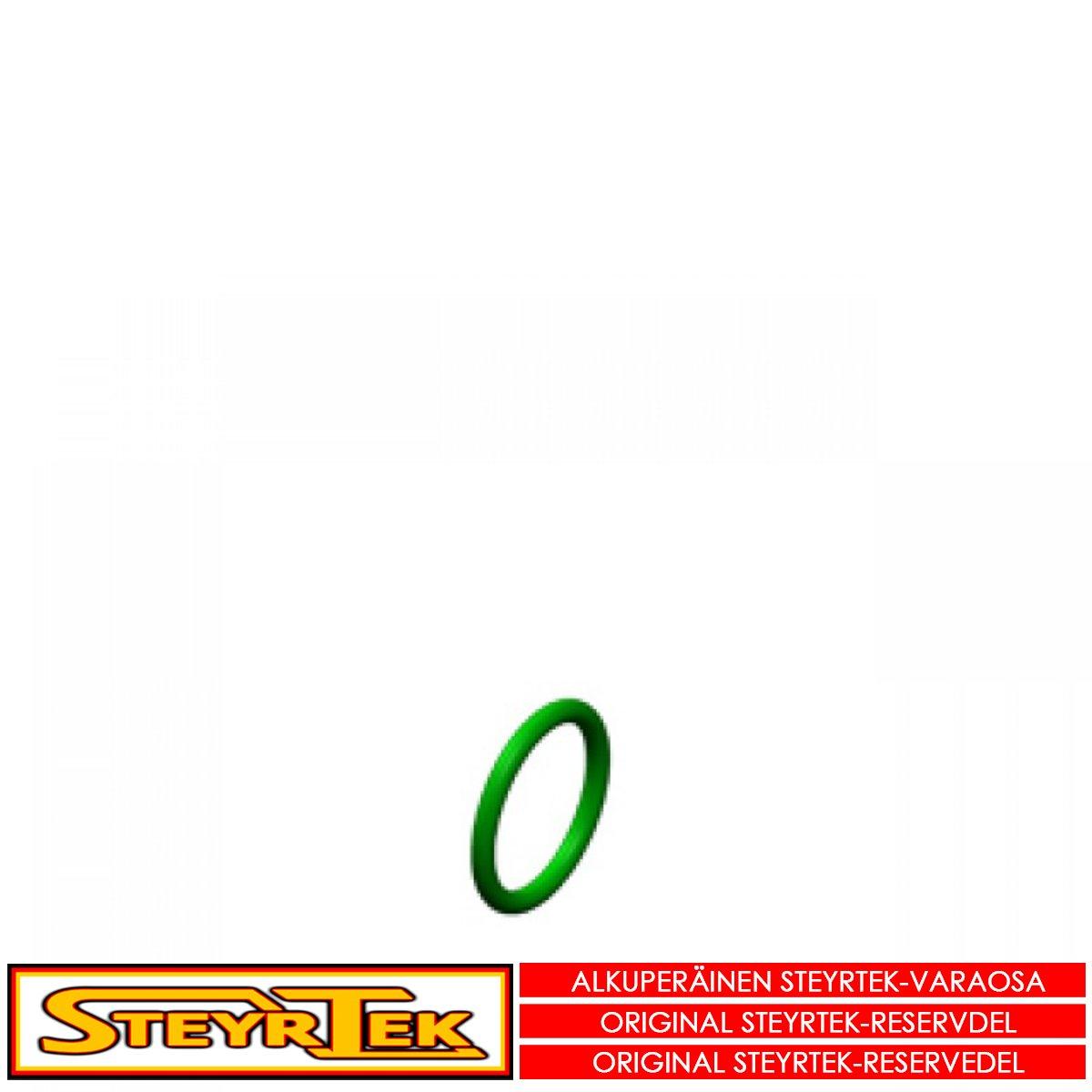 SteyrTek-Palteenirottimen-sylinterin-tiivisterengas_Tarvikkeet_181548_1.jpeg SteyrTek Palteenirottimen sylinterin tiivisterengas - Image 1